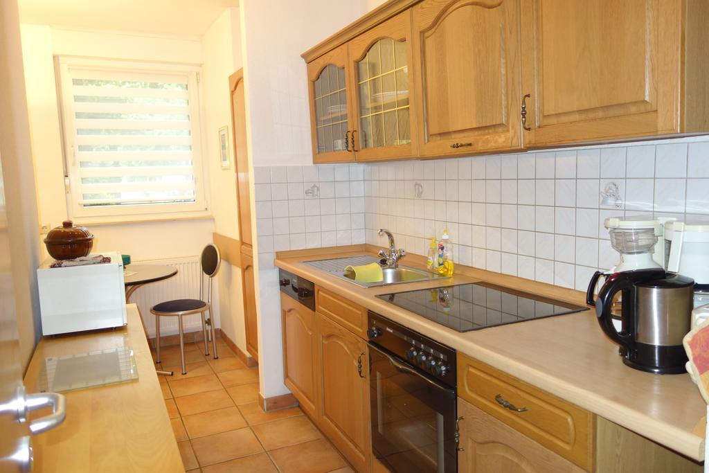 Tolstov-Hotels Big 2 Room Rossstrasse Apartment